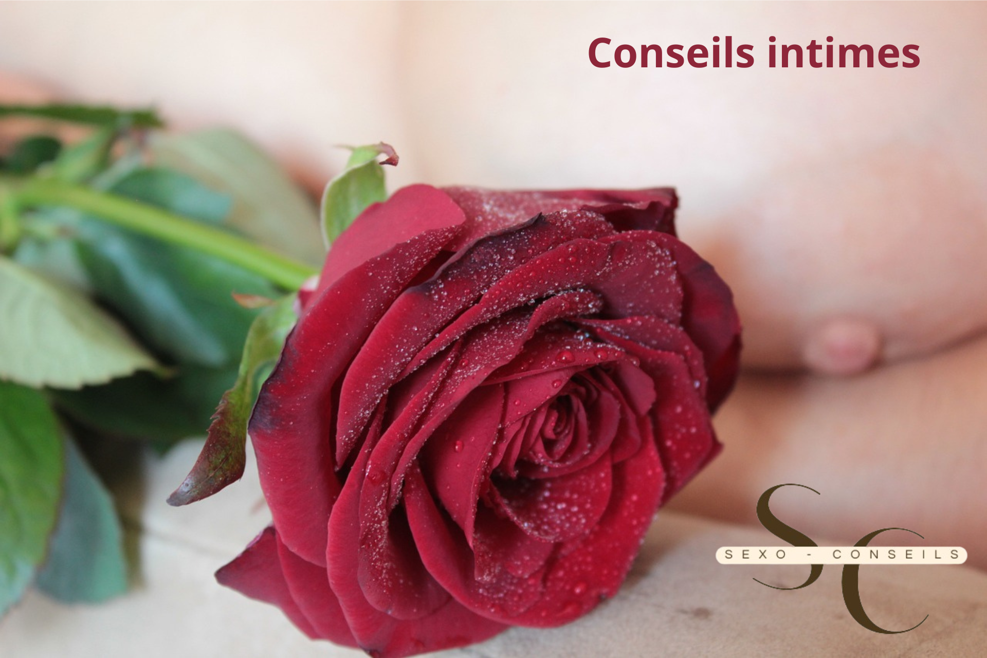 Featured Image-2